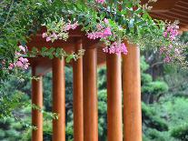 Closeup of Chinese Garden Pavilion-sevenke-Photographic Print