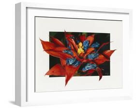 Sevens-Barbara Keith-Framed Giclee Print