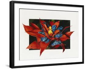 Sevens-Barbara Keith-Framed Giclee Print