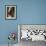 Seventeen Year Cicada, Pennsylvania, USA-David Northcott-Framed Photographic Print displayed on a wall