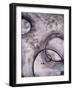 Seventh Sun-Natasha Wescoat-Framed Giclee Print