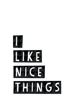 I Like Nice Things