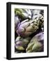 Several Artichokes-Stephan Caraccio-Framed Photographic Print