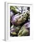 Several Artichokes-Stephan Caraccio-Framed Photographic Print