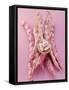 Several Borlotti Beans-null-Framed Stretched Canvas