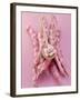 Several Borlotti Beans-null-Framed Photographic Print