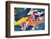 Several Carp in a Pond-SeanPavonePhoto-Framed Photographic Print