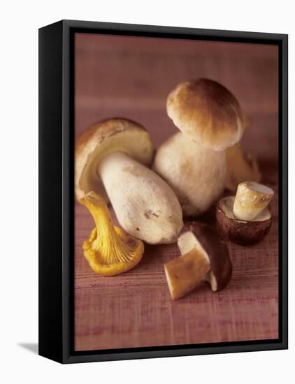 Several Ceps and One Chanterelle-Uwe Bender-Framed Stretched Canvas