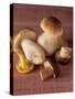 Several Ceps and One Chanterelle-Uwe Bender-Stretched Canvas