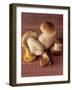 Several Ceps and One Chanterelle-Uwe Bender-Framed Photographic Print