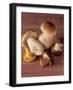 Several Ceps and One Chanterelle-Uwe Bender-Framed Photographic Print