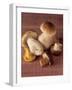 Several Ceps and One Chanterelle-Uwe Bender-Framed Photographic Print