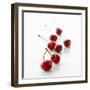 Several Cherries-Klaus Arras-Framed Photographic Print