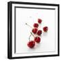 Several Cherries-Klaus Arras-Framed Photographic Print