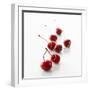 Several Cherries-Klaus Arras-Framed Photographic Print