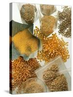 Several Different Types of Cereal-Eising Studio Food Photo and Video-Stretched Canvas