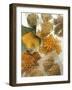 Several Different Types of Cereal-Eising Studio Food Photo and Video-Framed Photographic Print