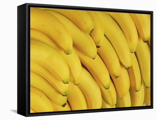 Several Fresh Bananas-Eising Studio - Food Photo and Video-Framed Stretched Canvas