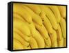 Several Fresh Bananas-Eising Studio - Food Photo and Video-Framed Stretched Canvas