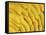Several Fresh Bananas-Eising Studio - Food Photo and Video-Framed Stretched Canvas