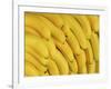 Several Fresh Bananas-Eising Studio - Food Photo and Video-Framed Photographic Print