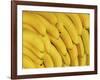 Several Fresh Bananas-Eising Studio - Food Photo and Video-Framed Photographic Print