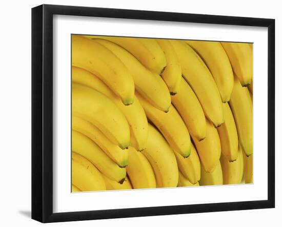 Several Fresh Bananas-Eising Studio - Food Photo and Video-Framed Photographic Print