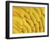 Several Fresh Bananas-Eising Studio - Food Photo and Video-Framed Photographic Print