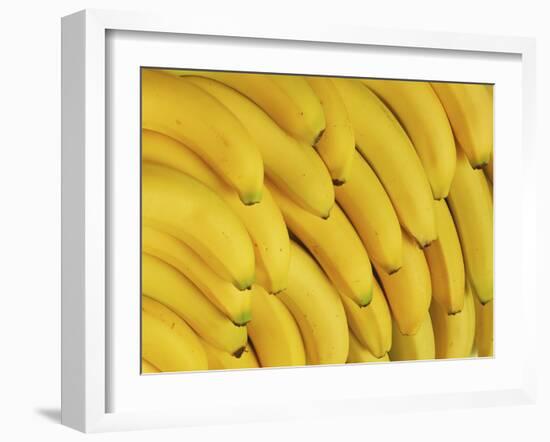 Several Fresh Bananas-Eising Studio - Food Photo and Video-Framed Photographic Print