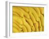 Several Fresh Bananas-Eising Studio - Food Photo and Video-Framed Photographic Print