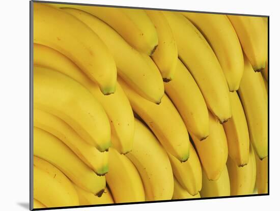 Several Fresh Bananas-Eising Studio - Food Photo and Video-Mounted Photographic Print