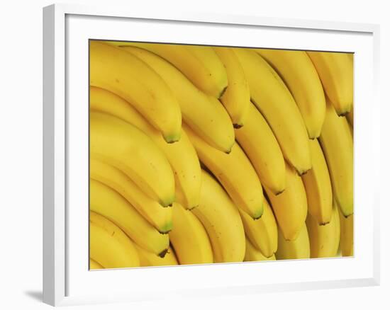 Several Fresh Bananas-Eising Studio - Food Photo and Video-Framed Photographic Print