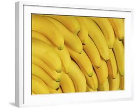 Several Fresh Bananas-Eising Studio - Food Photo and Video-Framed Photographic Print