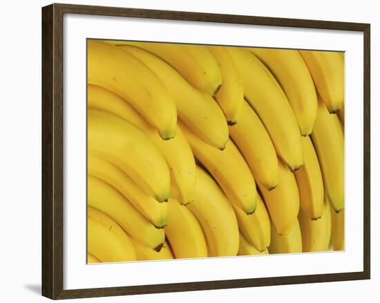 Several Fresh Bananas-Eising Studio - Food Photo and Video-Framed Photographic Print