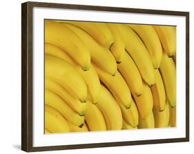 Several Fresh Bananas-Eising Studio - Food Photo and Video-Framed Photographic Print