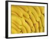 Several Fresh Bananas-Eising Studio - Food Photo and Video-Framed Photographic Print