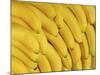 Several Fresh Bananas-Eising Studio - Food Photo and Video-Mounted Photographic Print