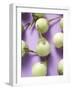 Several Green Mini-Aubergines-null-Framed Photographic Print