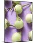 Several Green Mini-Aubergines-null-Mounted Photographic Print