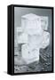 Several Ice Cubes-Kröger and Gross-Framed Stretched Canvas