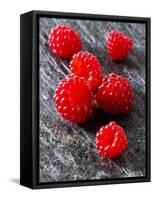 Several Japanese Wineberries on a Stone Board-Paul Williams-Framed Stretched Canvas