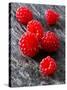 Several Japanese Wineberries on a Stone Board-Paul Williams-Stretched Canvas