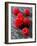 Several Japanese Wineberries on a Stone Board-Paul Williams-Framed Photographic Print