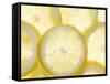 Several Lemon Slices-null-Framed Stretched Canvas