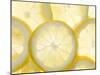 Several Lemon Slices-null-Mounted Photographic Print