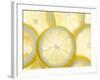 Several Lemon Slices-null-Framed Photographic Print