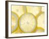 Several Lemon Slices-null-Framed Photographic Print