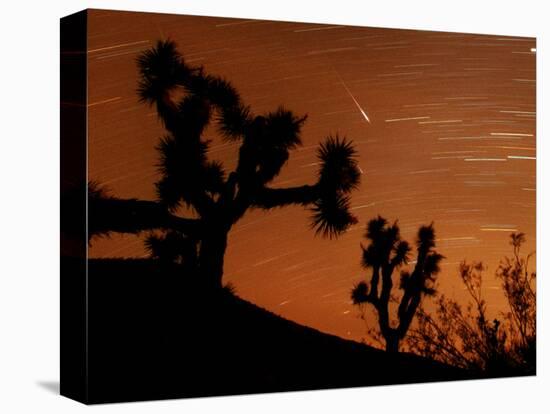 Several Leonids Meteors are Seen Streaking Through the Sky Over Joshua Tree National Park, Calif.-null-Stretched Canvas