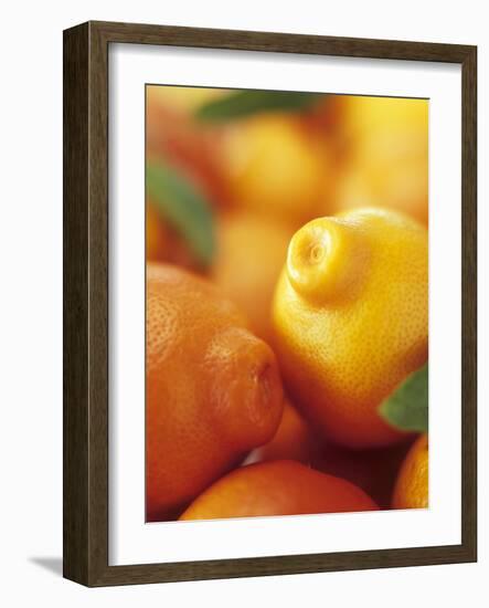 Several Mandarin Oranges with Leaves-Vladimir Shulevsky-Framed Photographic Print