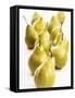 Several Pears Standing One Behind the Other-Dieter Heinemann-Framed Stretched Canvas